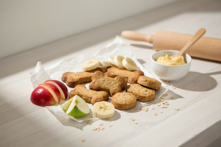Homemade Apple and Banana Dog Treats